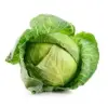 Organic Cabbage